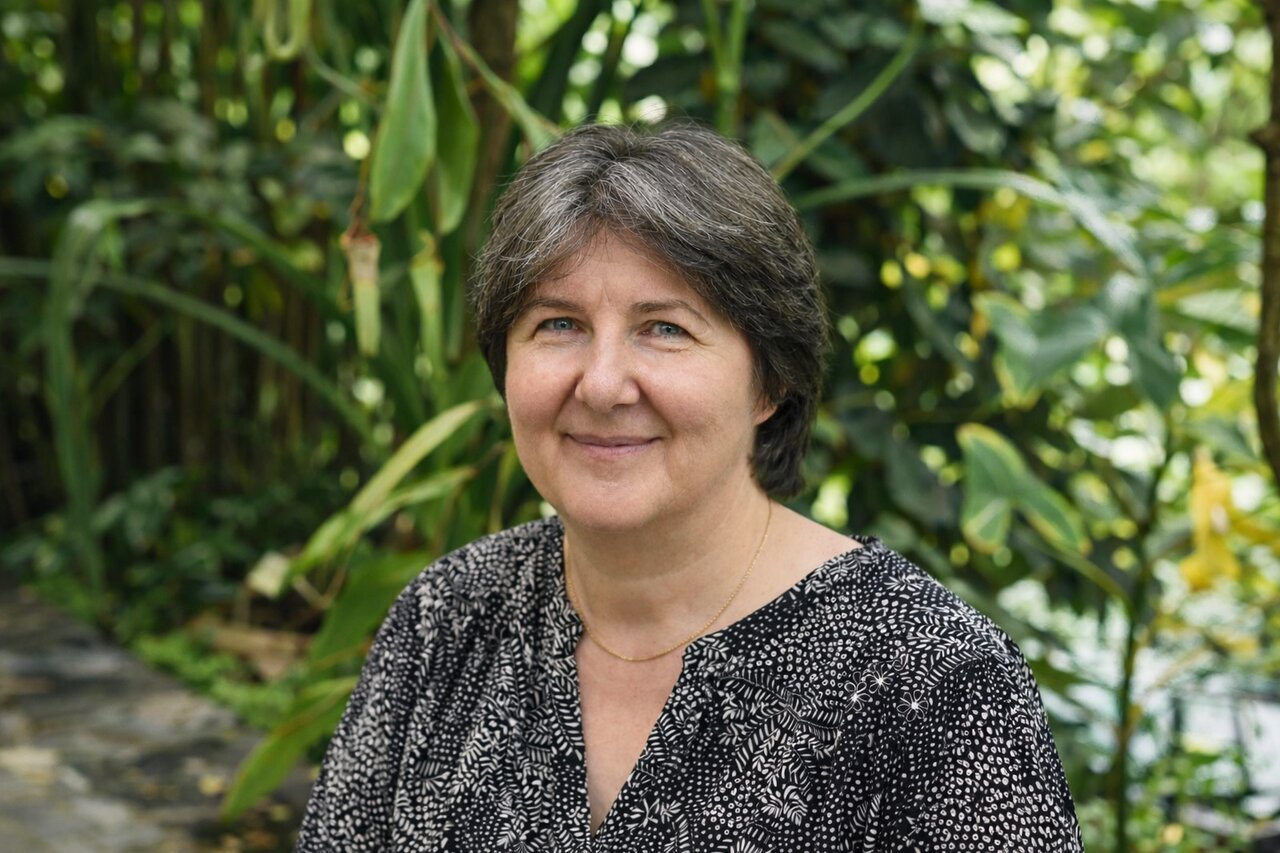 Maria Toth-Gauthier, docteure en psychologie à Ottignies Louvain-la-Neuve